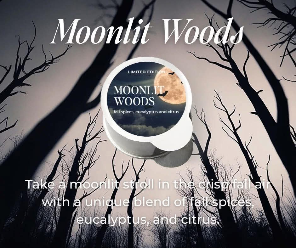 Moonlit Woods