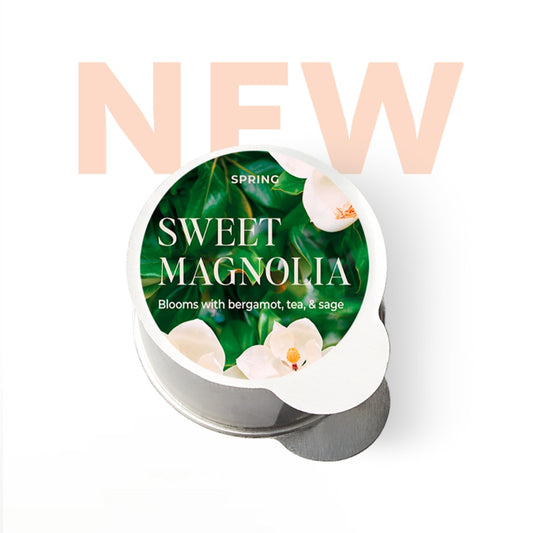 Sweet Magnolia