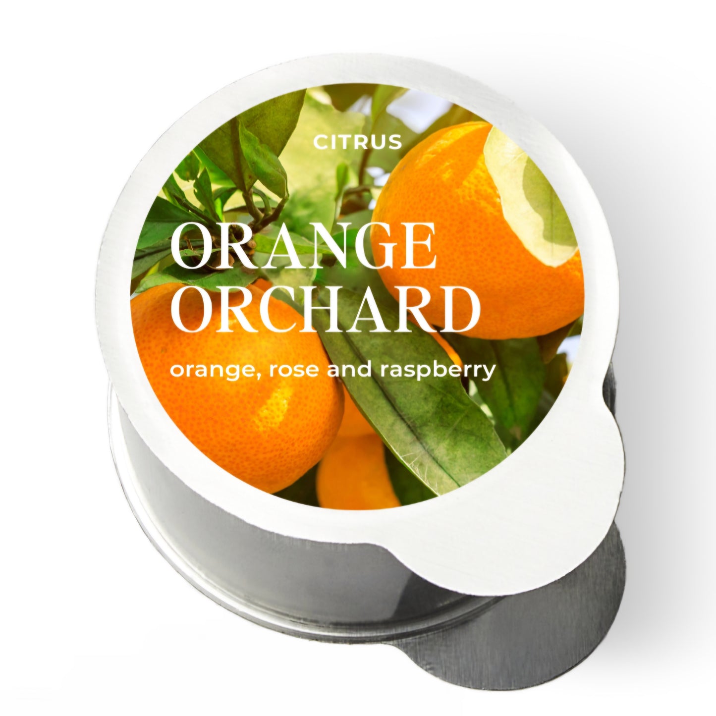 Orange Orchard