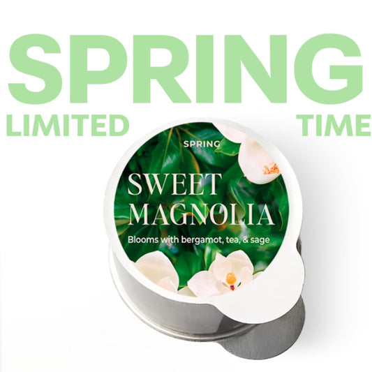 Sweet Magnolia