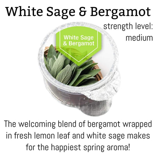 White Sage & Bergamont