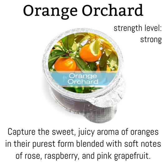 Orange Orchard