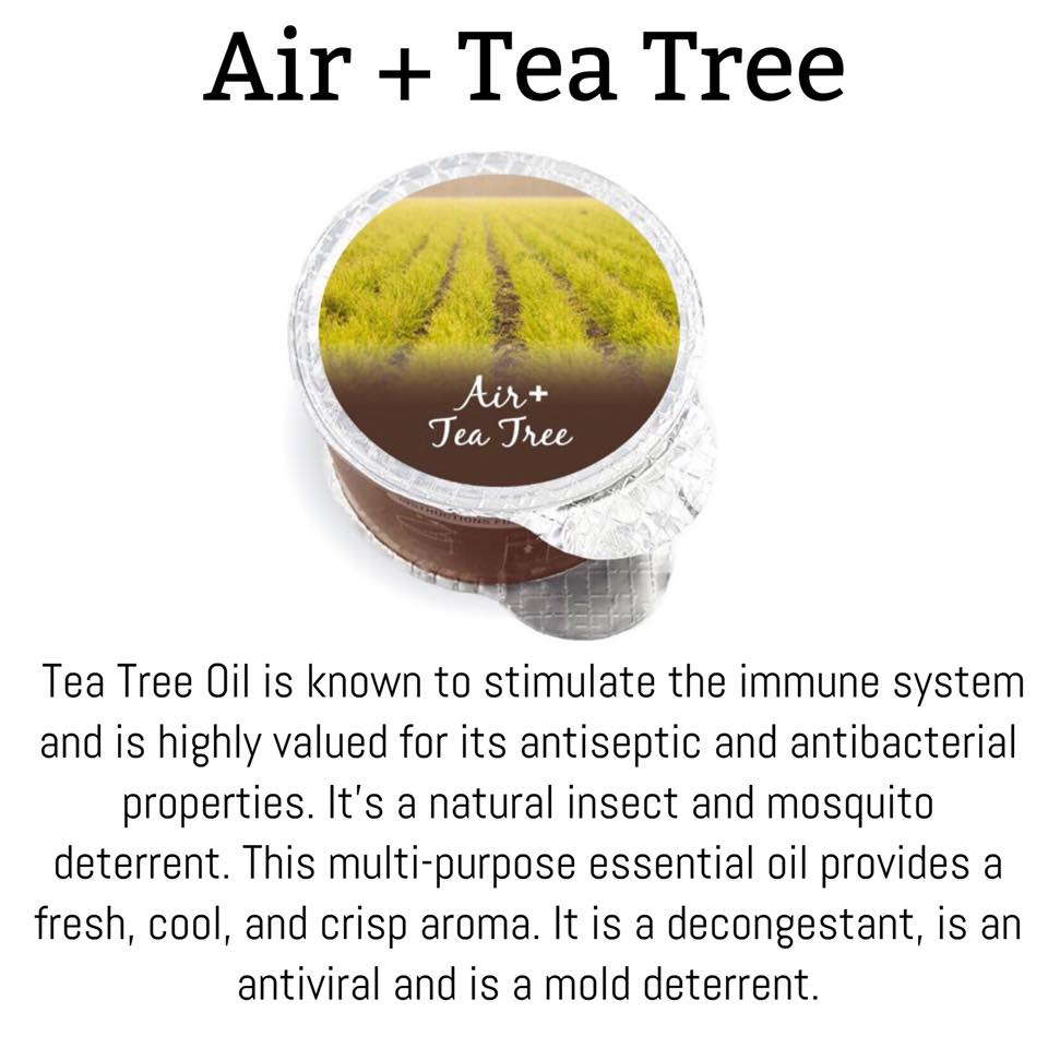 Air+ Tea Tree